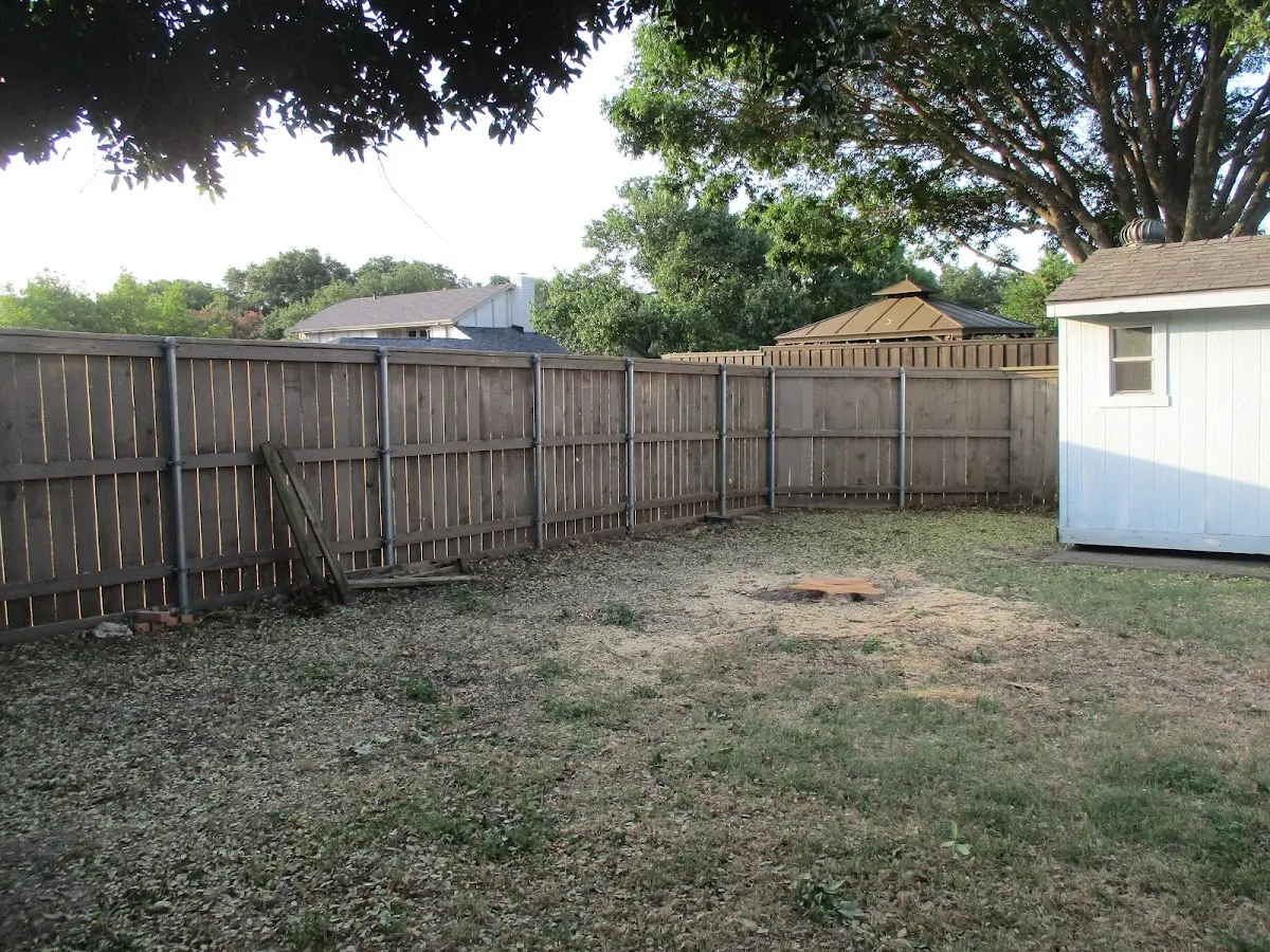 Cleared yard after professional tree removal in Leighton
